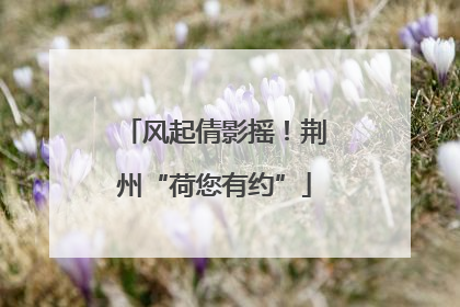 风起倩影摇！荆州“荷您有约”