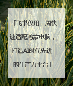 飞书仅用一周快速适配鸿蒙电脑，打造AI时代先进的生产力平台