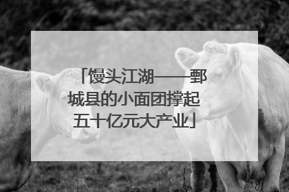 馒头江湖——鄄城县的小面团撑起五十亿元大产业