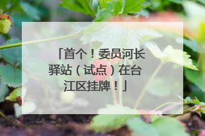 首个！委员河长驿站（试点）在台江区挂牌！