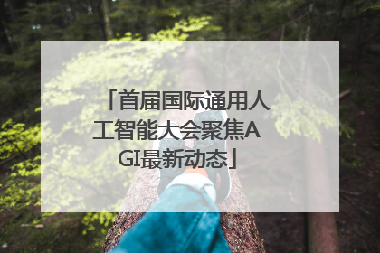 首届国际通用人工智能大会聚焦AGI最新动态