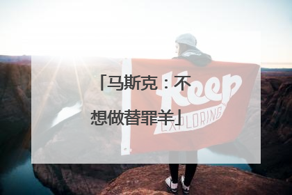 马斯克：不想做替罪羊
