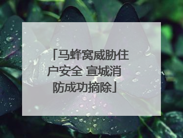 马蜂窝威胁住户安全 宣城消防成功摘除