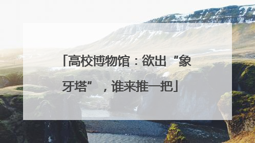 高校博物馆：欲出“象牙塔”，谁来推一把