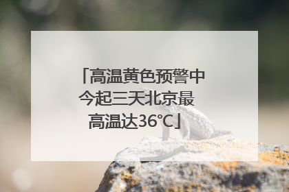 高温黄色预警中 今起三天北京最高温达36℃