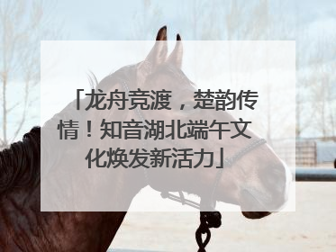 龙舟竞渡，楚韵传情！知音湖北端午文化焕发新活力