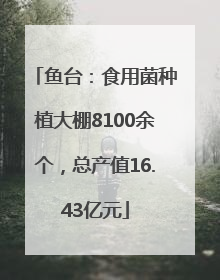 鱼台：食用菌种植大棚8100余个，总产值16.43亿元