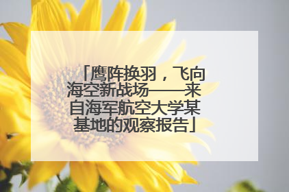 鹰阵换羽，飞向海空新战场——来自海军航空大学某基地的观察报告
