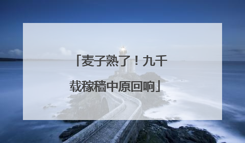 麦子熟了！九千载稼穑中原回响