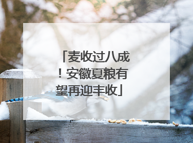 麦收过八成！安徽夏粮有望再迎丰收