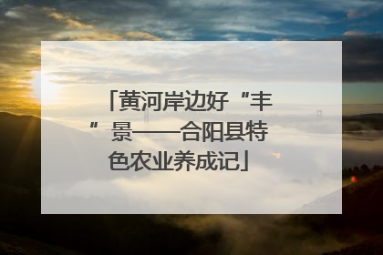 黄河岸边好“丰”景——合阳县特色农业养成记