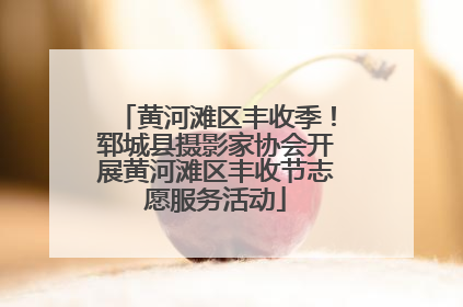 黄河滩区丰收季！郓城县摄影家协会开展黄河滩区丰收节志愿服务活动