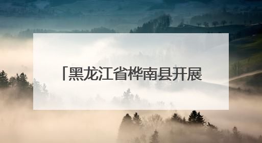 黑龙江省桦南县开展“父爱如山 真情相伴”志愿服务活动