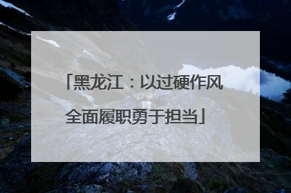 黑龙江：以过硬作风全面履职勇于担当