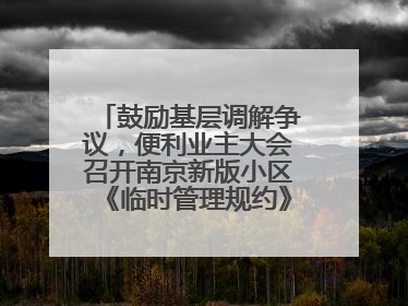鼓励基层调解争议，便利业主大会召开南京新版小区《临时管理规约》征求意见