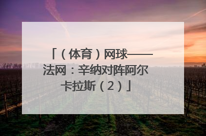 （体育）网球——法网：辛纳对阵阿尔卡拉斯（2）