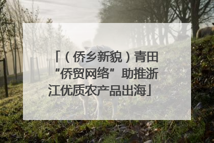 （侨乡新貌）青田“侨贸网络”助推浙江优质农产品出海