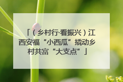 （乡村行·看振兴）江西安福“小西瓜”撬动乡村共富“大支点”
