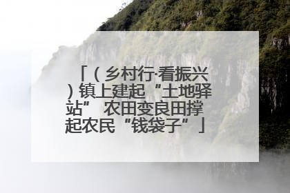 （乡村行·看振兴）镇上建起“土地驿站” 农田变良田撑起农民“钱袋子”