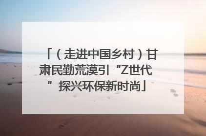 （走进中国乡村）甘肃民勤荒漠引“Z世代”探兴环保新时尚