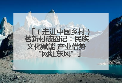 （走进中国乡村）茗新村破圈记：民族文化赋能 产业借势 “网红东风”