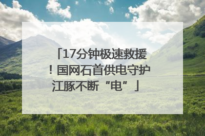 17分钟极速救援！国网石首供电守护江豚不断“电”
