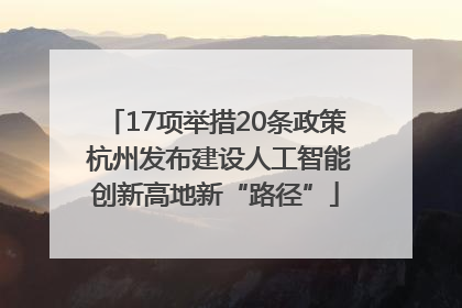 17项举措20条政策 杭州发布建设人工智能创新高地新“路径”