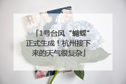 1号台风“蝴蝶”正式生成！杭州接下来的天气很复杂