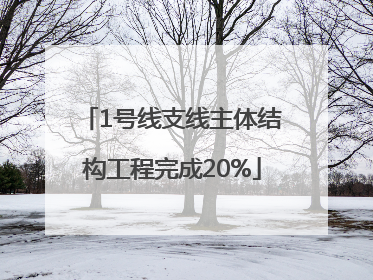 1号线支线主体结构工程完成20%