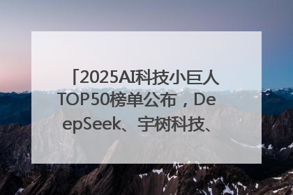 2025AI科技小巨人TOP50榜单公布，DeepSeek、宇树科技、蘑菇车联等企业荣誉上榜