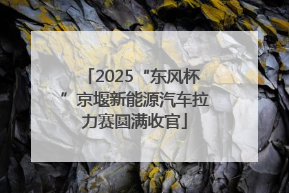 2025“东风杯”京堰新能源汽车拉力赛圆满收官