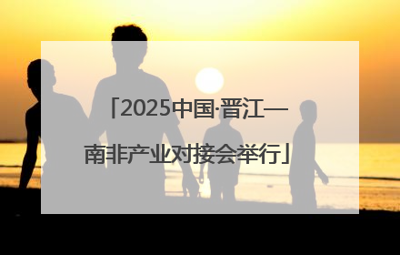 2025中国·晋江—南非产业对接会举行