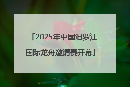 2025年中国汨罗江国际龙舟邀请赛开幕
