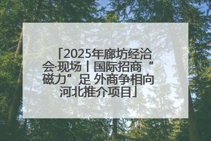 2025年廊坊经洽会·现场丨国际招商“磁力”足 外商争相向河北推介项目