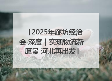 2025年廊坊经洽会·深度｜实现物流新愿景 河北再出发
