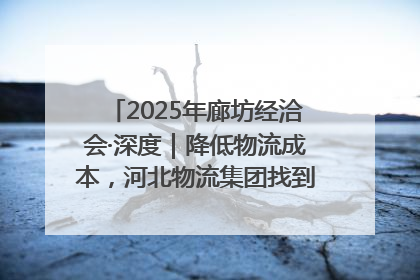 2025年廊坊经洽会·深度｜降低物流成本，河北物流集团找到一把“金钥匙”