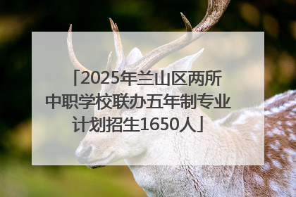 2025年兰山区两所中职学校联办五年制专业计划招生1650人