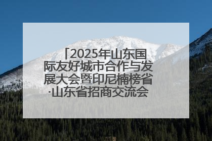 2025年山东国际友好城市合作与发展大会暨印尼楠榜省·山东省招商交流会在济南槐荫举行