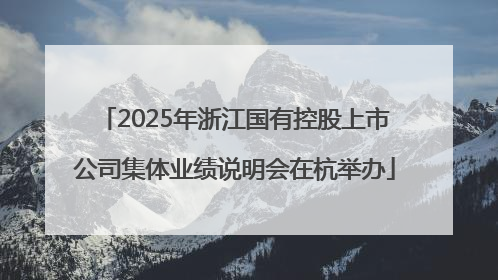 2025年浙江国有控股上市公司集体业绩说明会在杭举办