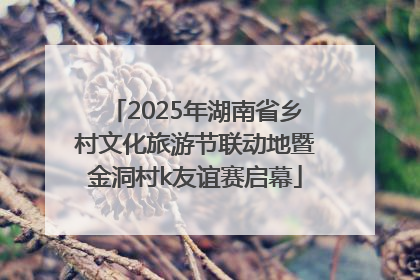 2025年湖南省乡村文化旅游节联动地暨金洞村k友谊赛启幕