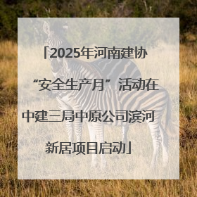 2025年河南建协“安全生产月”活动在中建三局中原公司滨河新居项目启动