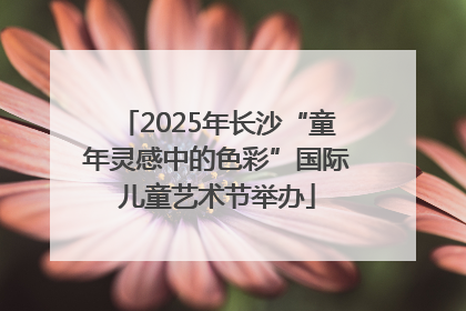 2025年长沙“童年灵感中的色彩”国际儿童艺术节举办