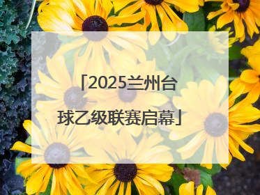 2025兰州台球乙级联赛启幕