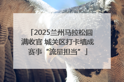 2025兰州马拉松圆满收官 城关区打卡墙成赛事“流量担当”