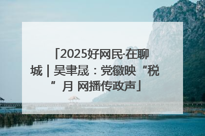 2025好网民·在聊城｜吴聿晟：党徽映“税”月 网播传政声