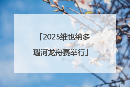 2025维也纳多瑙河龙舟赛举行