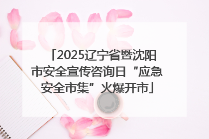 2025辽宁省暨沈阳市安全宣传咨询日“应急安全市集”火爆开市