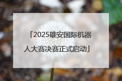 2025雄安国际机器人大赛决赛正式启动