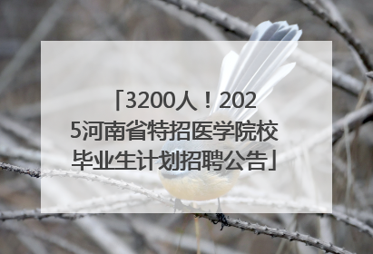 3200人！2025河南省特招医学院校毕业生计划招聘公告