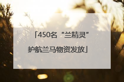 450名“兰精灵”护航兰马物资发放